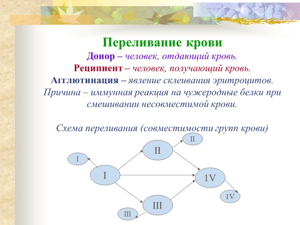 Переливание крови Донор – человек, отдающий кровь. Реципиент – человек, получающий кровь. Агглютинация –